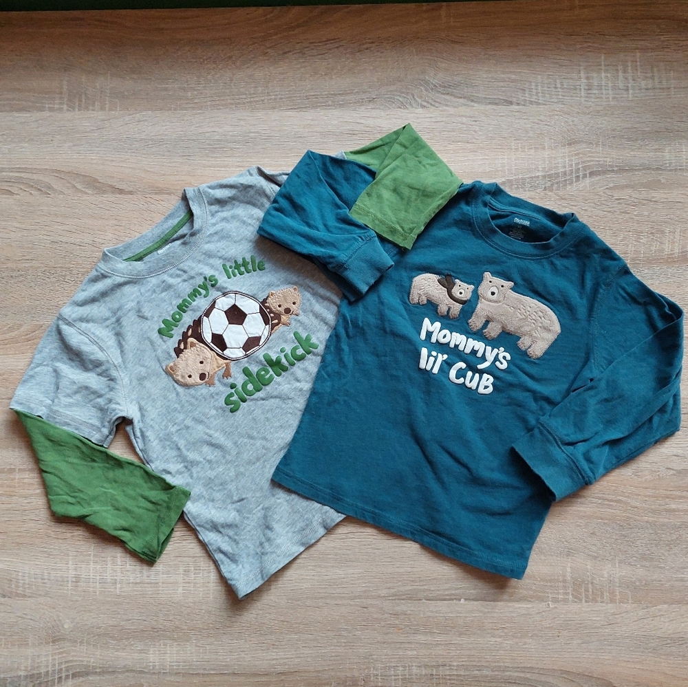 Gymboree 5T bear / hedgehog tees - Picture 1 of 16